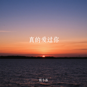 真的爱过你
