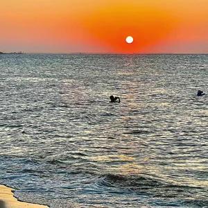 Serendipity(Prod.Gr33nart Beats)