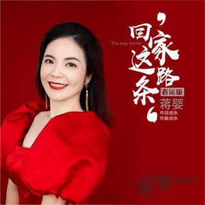 回家这条路 (春运版)