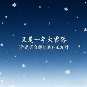 又是一年大雪落 (你是否会想起我)