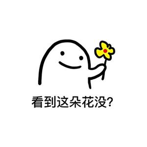 宁夏