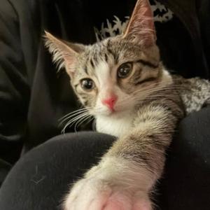 i cant keep doing this to myself