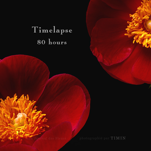 通りゃんせ (通行歌)翻唱