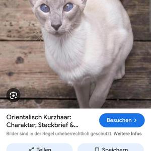 Sadomaso (feat. Miriam)