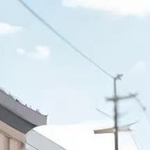 陷落的心