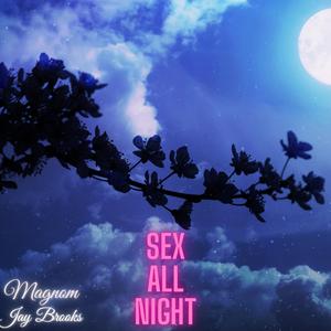 Sex All Night (feat. Jay Brooks)