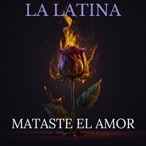 Mataste el Amor