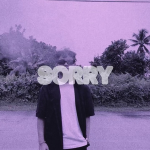 Sorry (Sped Up Version) (Remix)