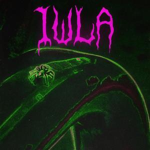 IULA