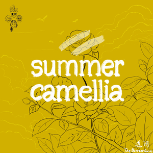Summer Camellia 夏末卡梅莉亚