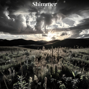Shimmer