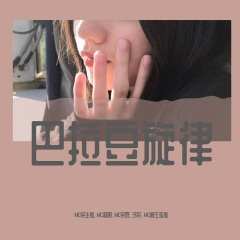 凤凰向南飞 (DJ版)