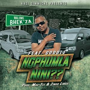 NGPHUMLANINI?? (feat. Godole)