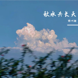 秋水共长天