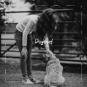 Dogthief