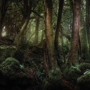 Saria's Song