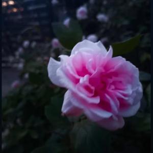 when I think about her.