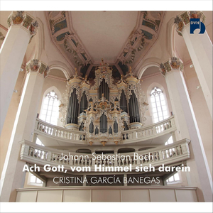 Variationen Über Allein Gott in Der Höh Sei Ehr, BWV 771: Variatio XV