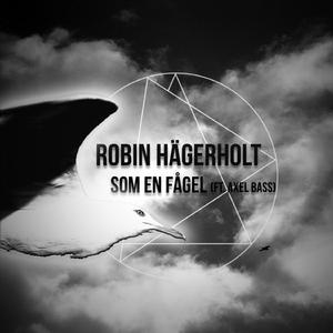 Som en Fågel (feat. Axel Bass)