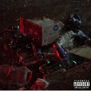 樱花雨，酌清酒 prod.tired x yvngk1