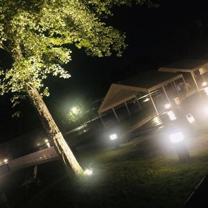 不想把你还给人海