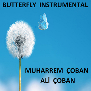 BUTTERFLY INSTRUMENTAL