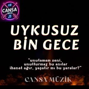 Uykusuz Bin Gece