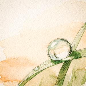 Dew