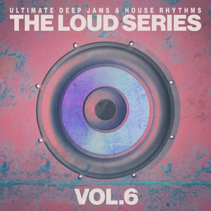 I Look for My Love (House United Syndacates Mix)
