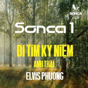 Đi Tìm Kỷ Niệm (1971)