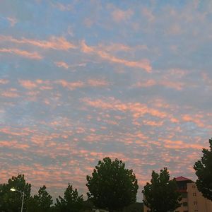 Entorevolution（x0。8）