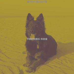安静的小狗声音