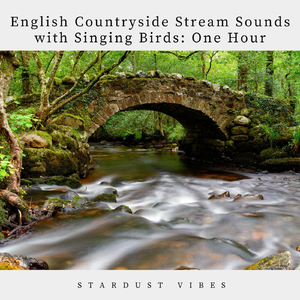 English Countryside Stream Sounds with Singing Birds: One Hour