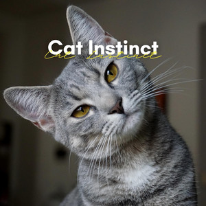 Ultimate Zen Music for Your Cat, Pt. 18