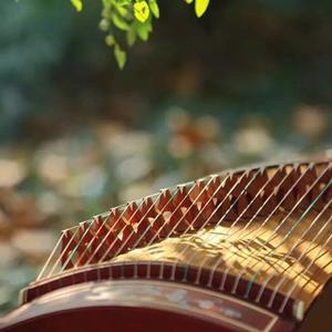 海之波澜（古筝即兴）