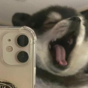 死在江南烟雨中