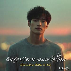 ฉันเคยมีความหมายบ้างไหม (Did I Ever Matter to You)