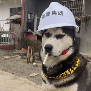 独自收集两个人之间的回忆