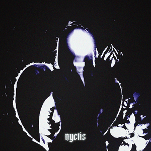 Nyctis