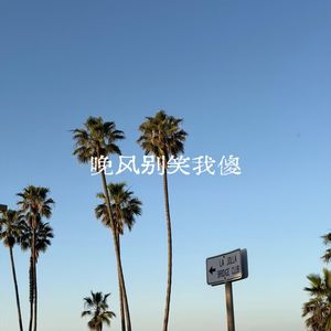 晚风别笑我傻