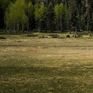 别怕我会永远在你身后