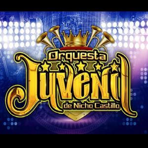 Popurri de virginias (Zapatito , al son del chivigon , Artemio Beltrán , Correcaminos)_