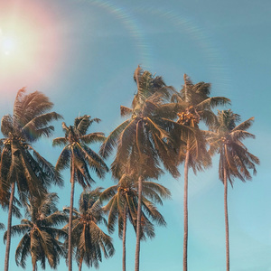 静谧之波 (Waves of Stillness)