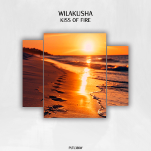 Kiss of Fire (Original Mix)