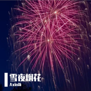 雪夜烟花