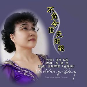 不负今世天涯缘 -雪地野草