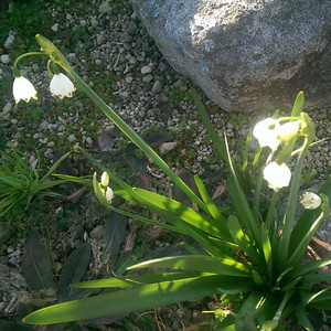 どうってことないさ