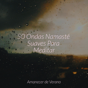 Melódico Sueño de Medianoche