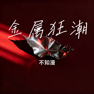 金属狂潮