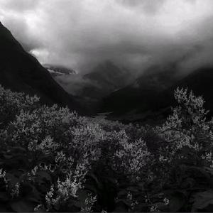 说散就散+独行侠(翻自YKEY)